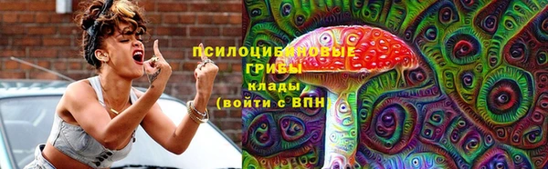 дурь Белокуриха