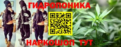 мдпв Жуковский