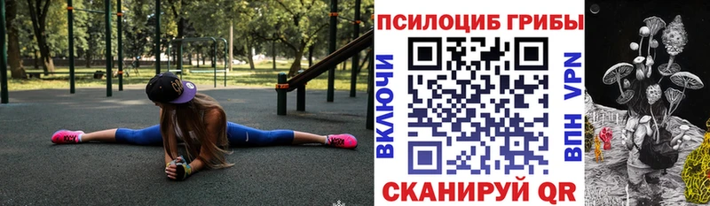 сайты даркнета Telegram  Новый Уренгой  Галлюциногенные грибы Psilocybine cubensis  хочу наркоту 